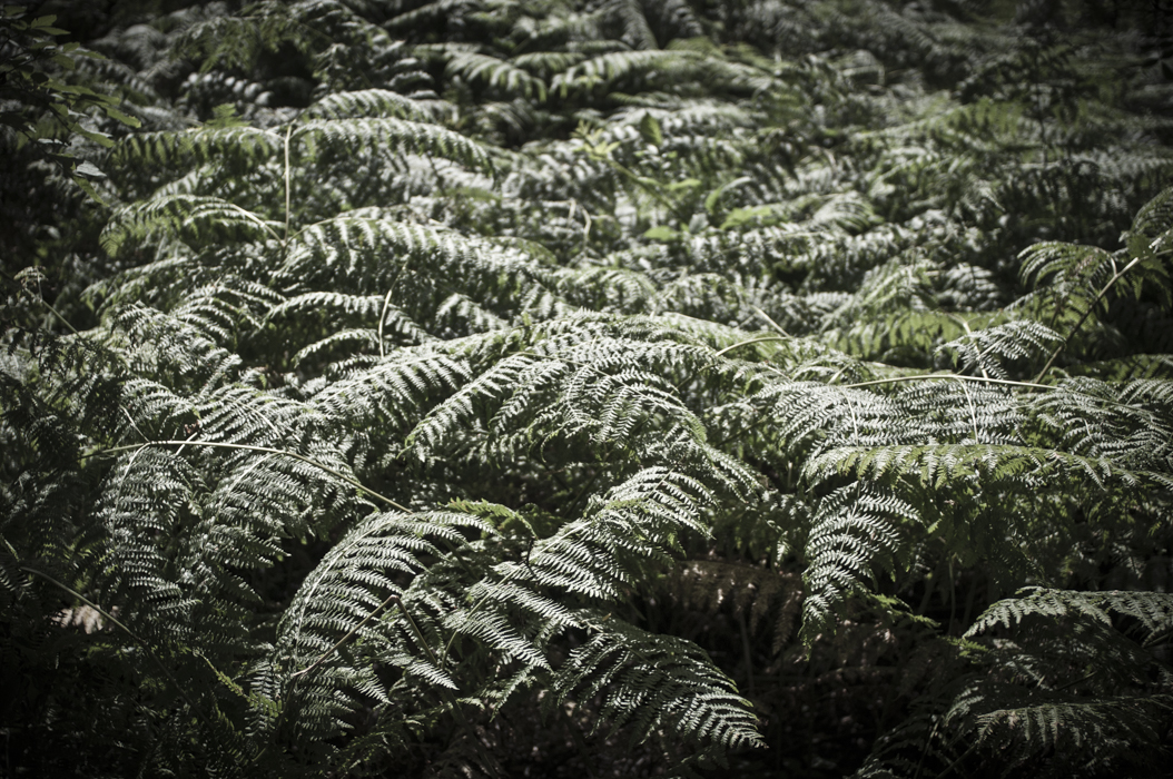 KayandJohn (11 de 35)