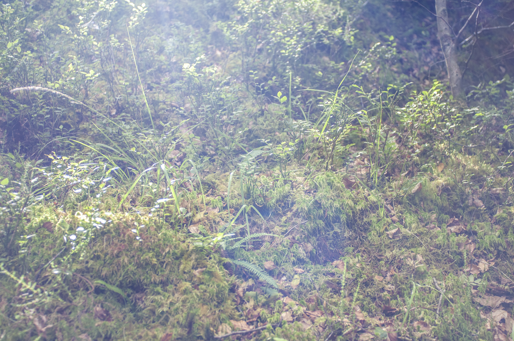 KayandJohn (2 de 35)