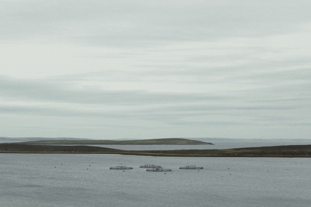 KayandJohn (21 de 35)