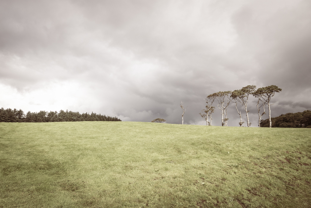 KayandJohn (3 de 35)