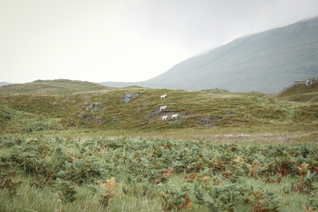 KayandJohn (4 de 35)