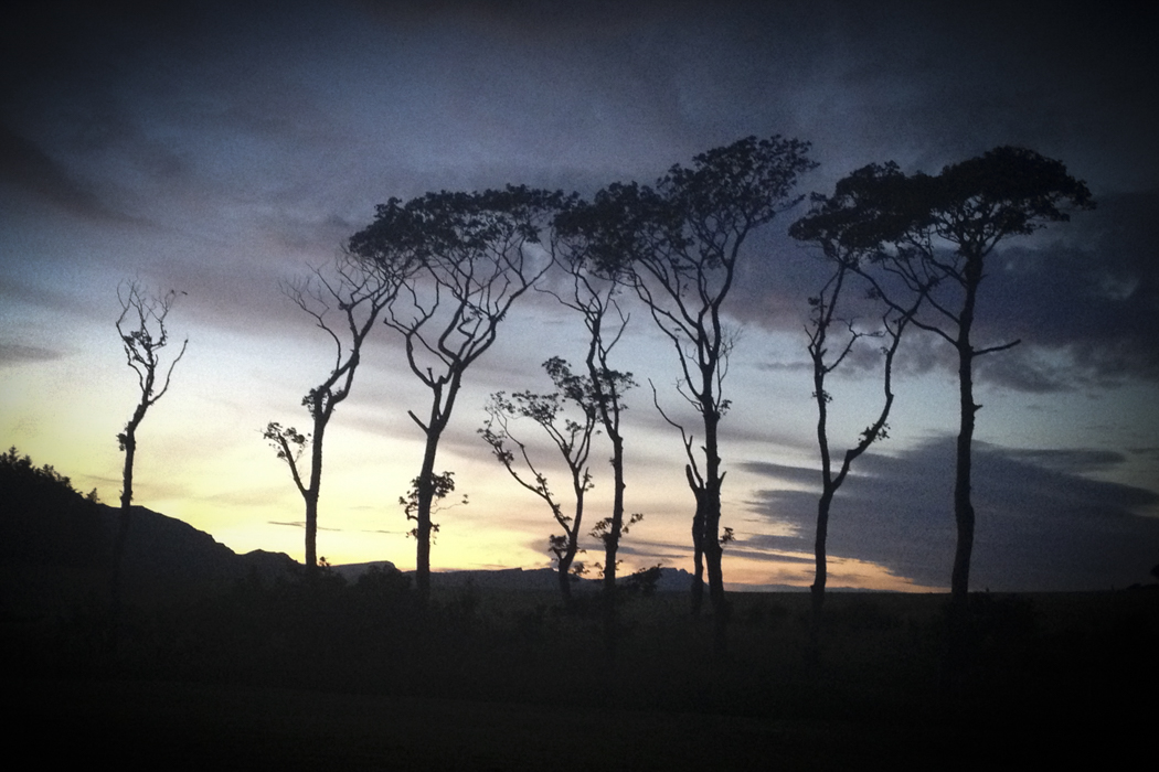 KayandJohn (6 de 35)